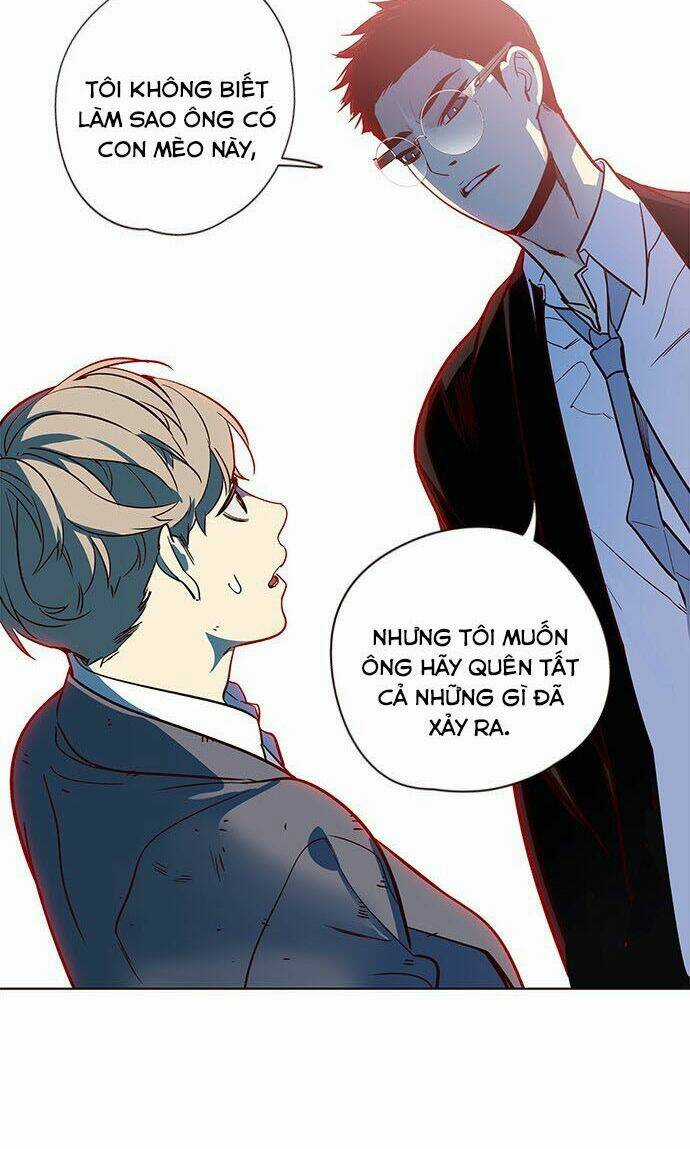 Biến Thân Thành Mèo Chapter 12 trang 6