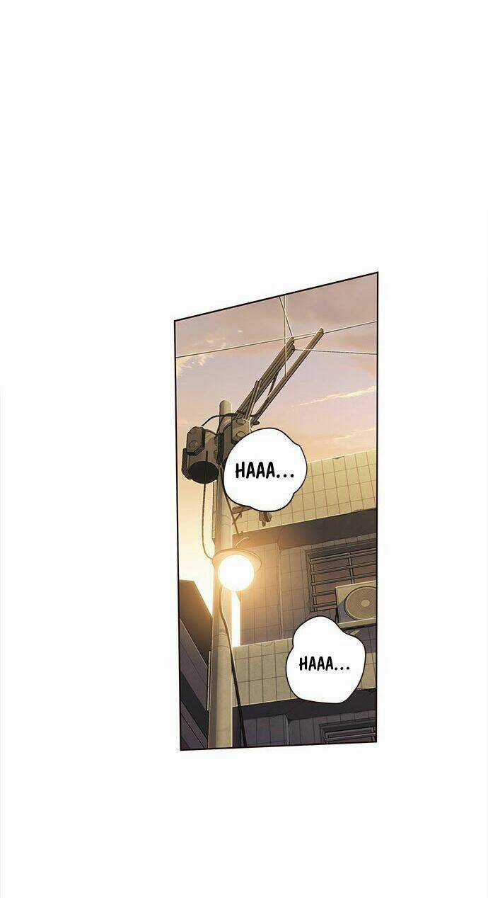 Biến Thân Thành Mèo Chapter 12 trang 64