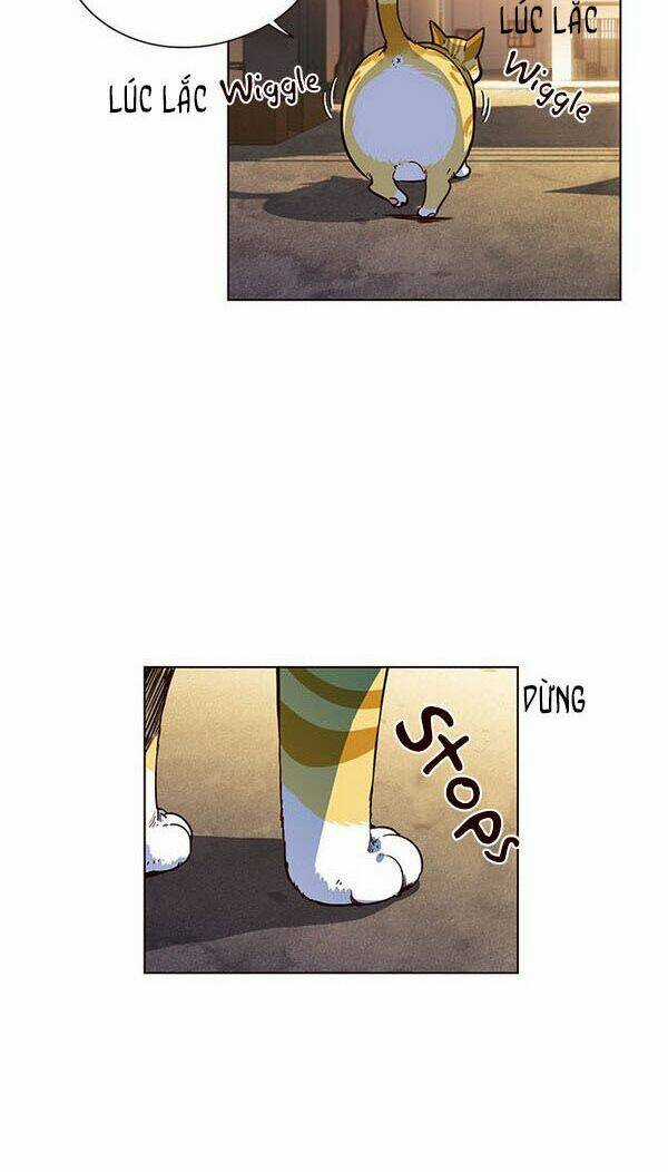 Biến Thân Thành Mèo Chapter 13 trang 4