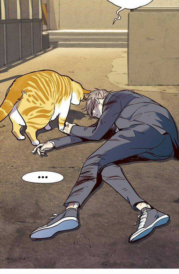 Biến Thân Thành Mèo Chapter 14 trang 17