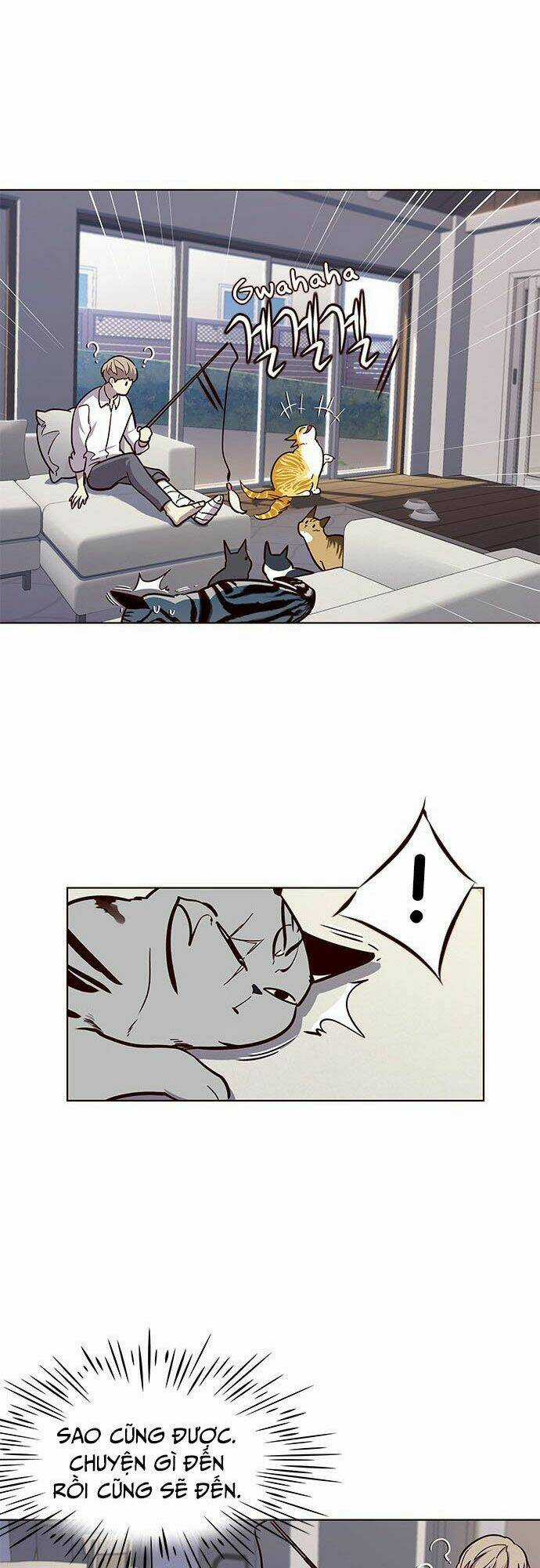 Biến Thân Thành Mèo Chapter 16 trang 14