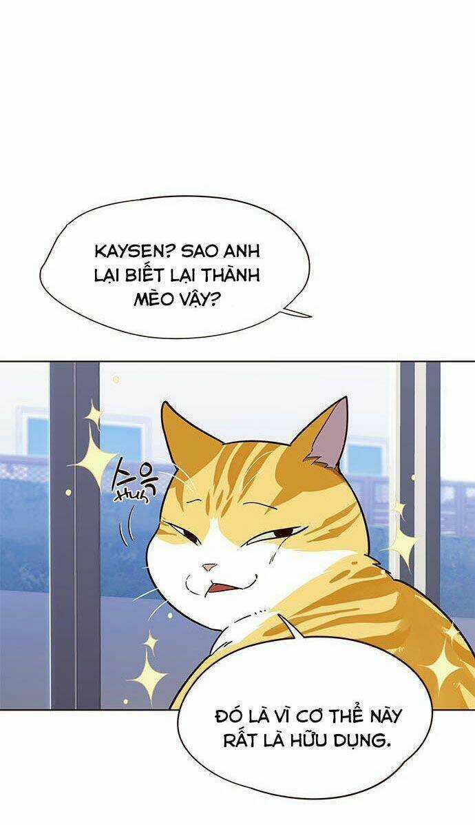 Biến Thân Thành Mèo Chapter 16 trang 17