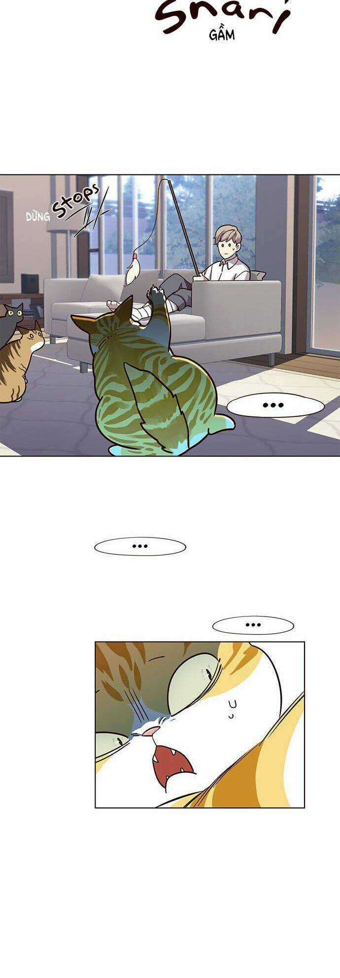 Biến Thân Thành Mèo Chapter 16 trang 21