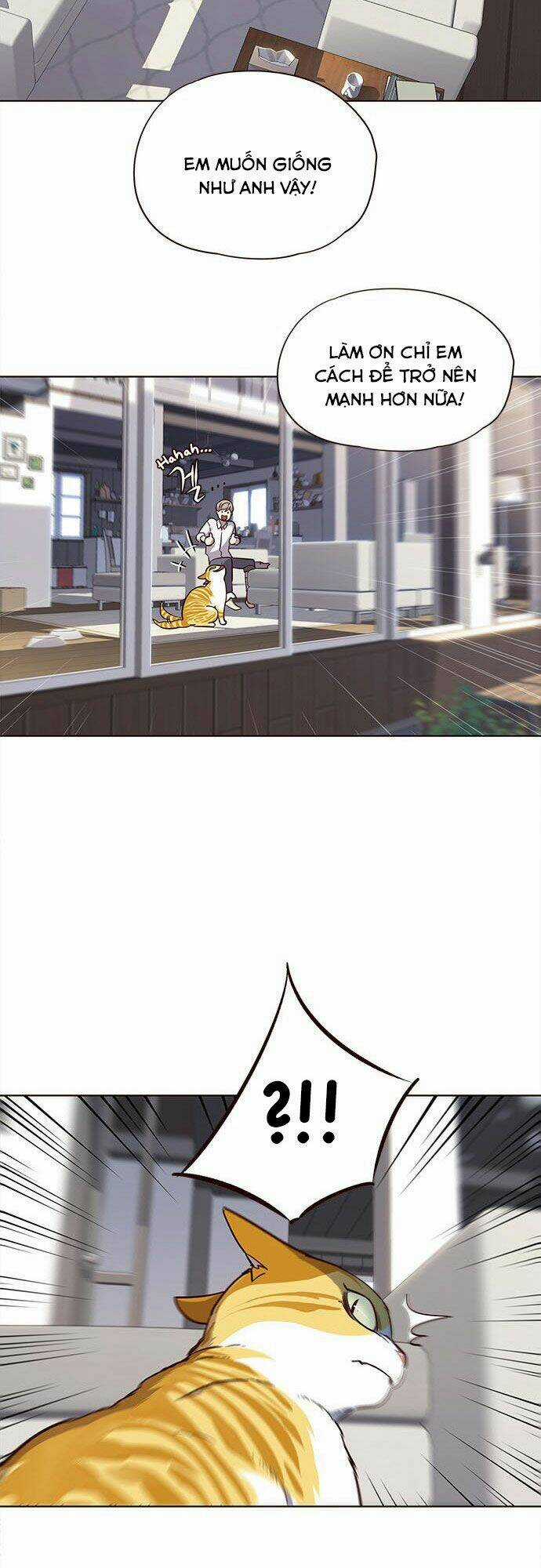 Biến Thân Thành Mèo Chapter 16 trang 32