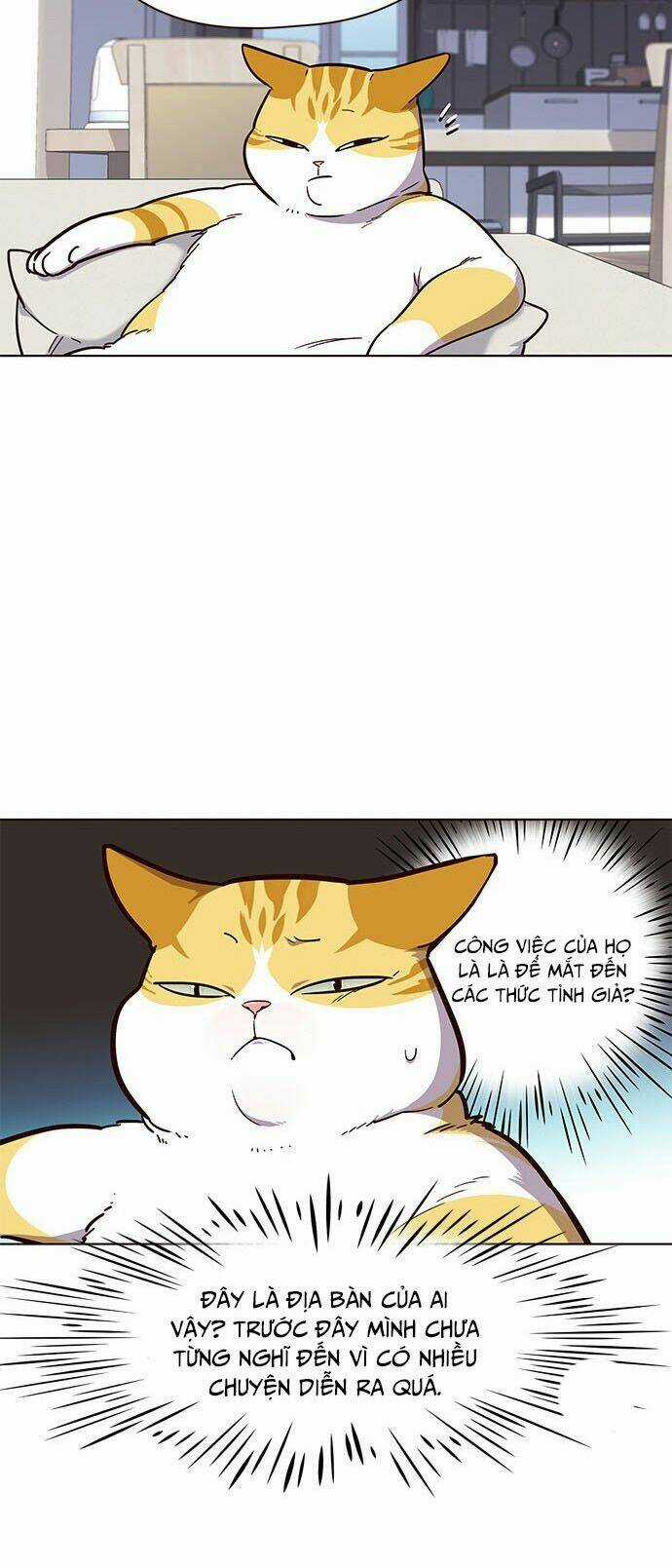 Biến Thân Thành Mèo Chapter 16 trang 47