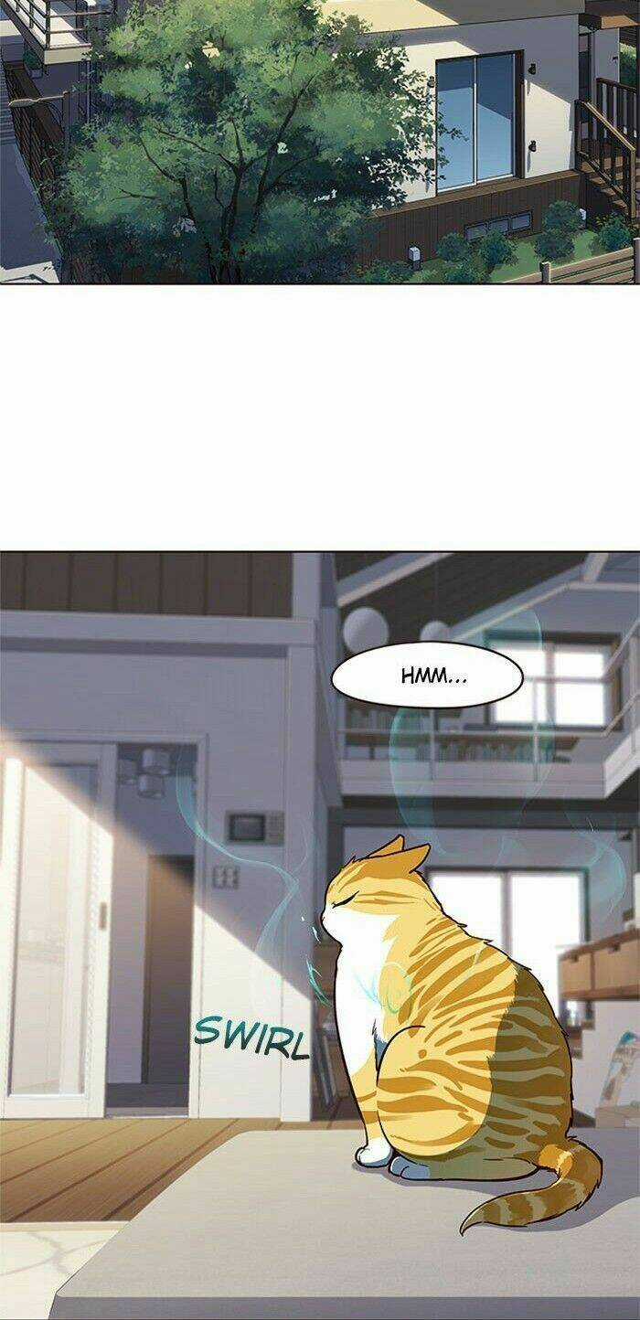 Biến Thân Thành Mèo Chapter 17 trang 36