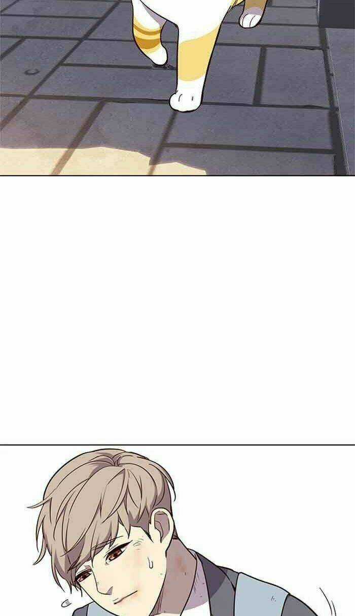 Biến Thân Thành Mèo Chapter 18 trang 54