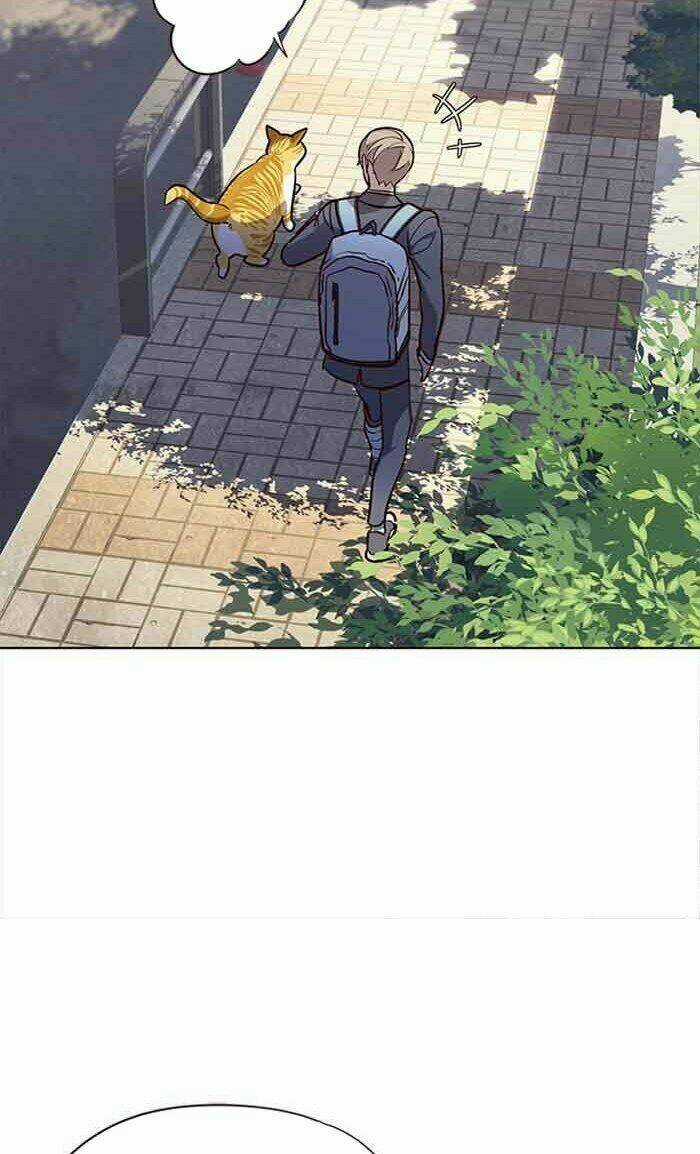 Biến Thân Thành Mèo Chapter 18 trang 66