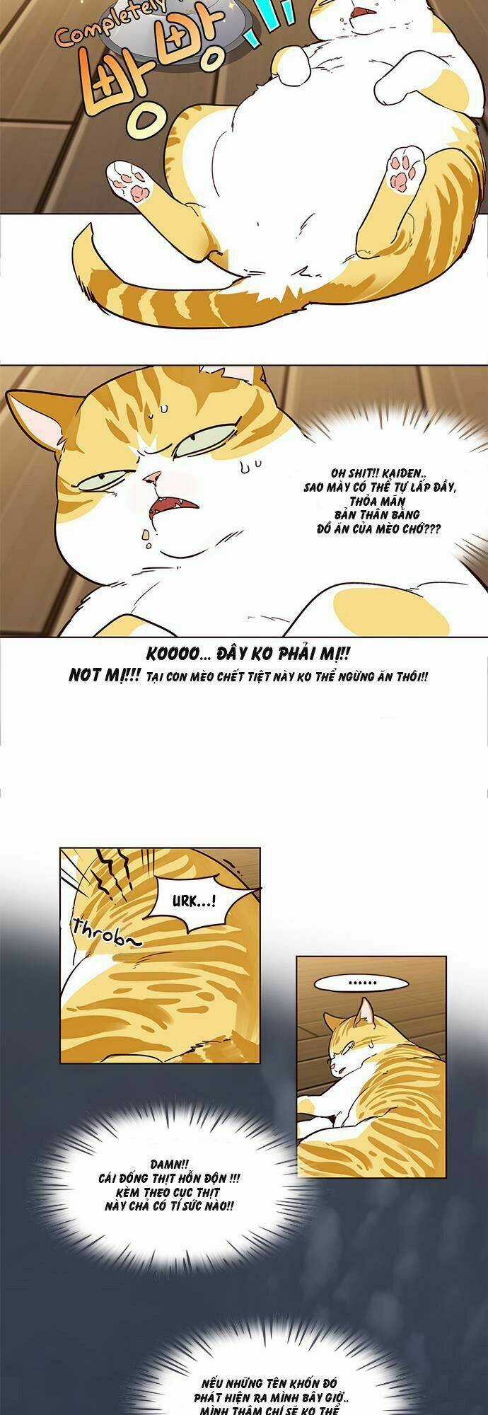 Biến Thân Thành Mèo Chapter 2 trang 13