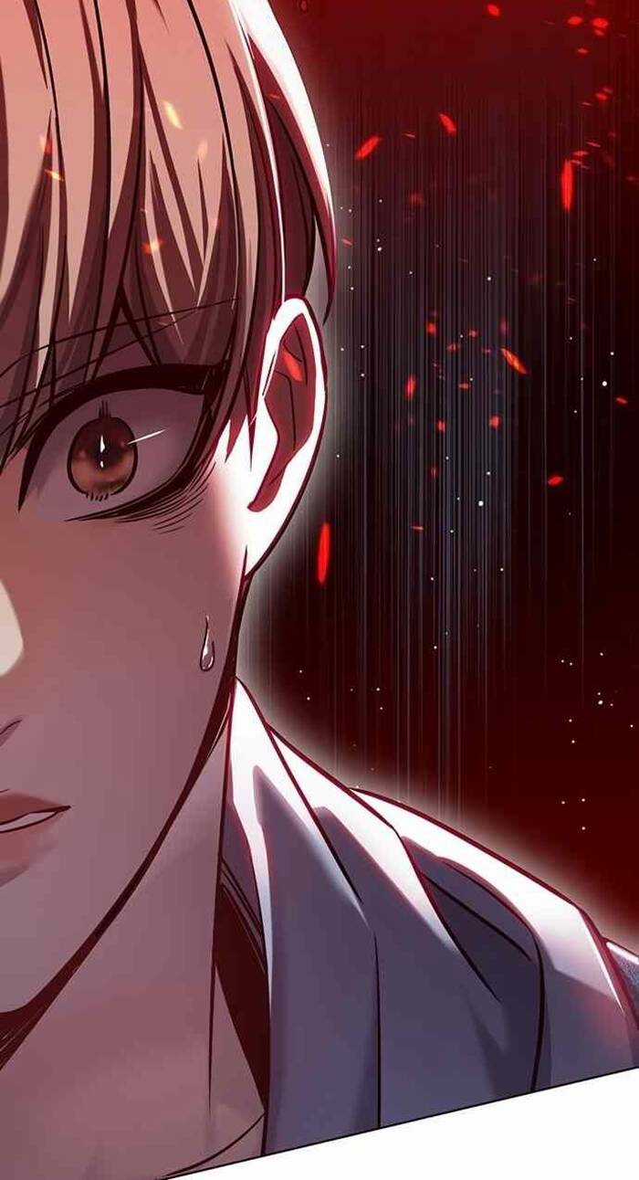 Biến Thân Thành Mèo Chapter 240 trang 15