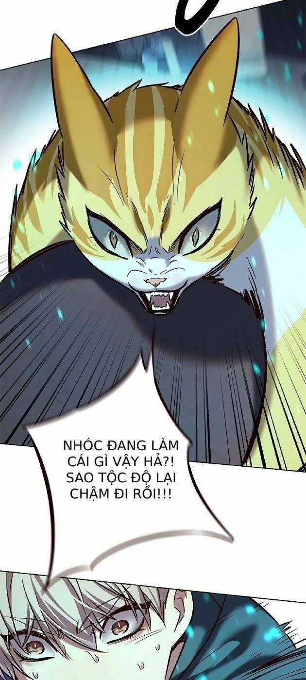 Biến Thân Thành Mèo Chapter 241 trang 11