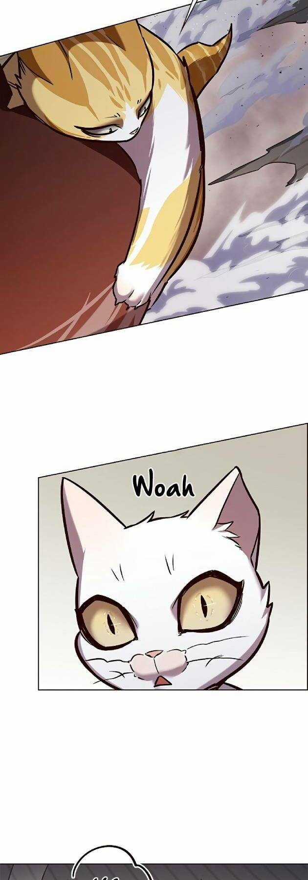 Biến Thân Thành Mèo Chapter 241 trang 23