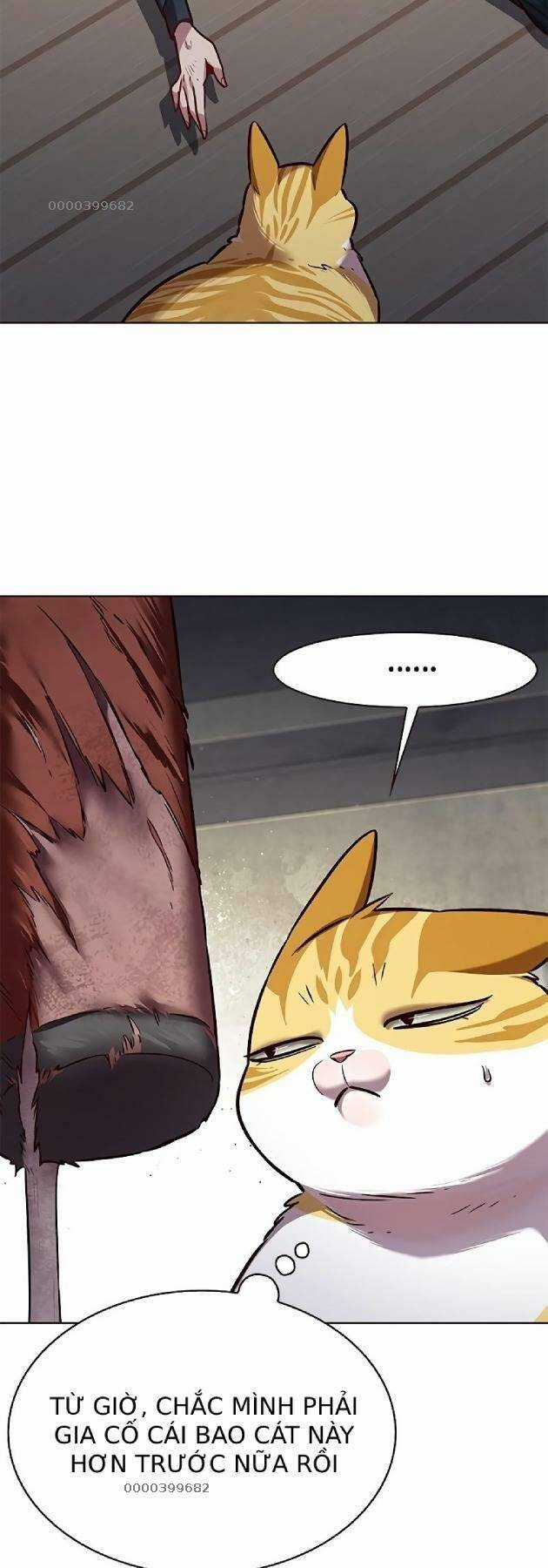 Biến Thân Thành Mèo Chapter 241 trang 26