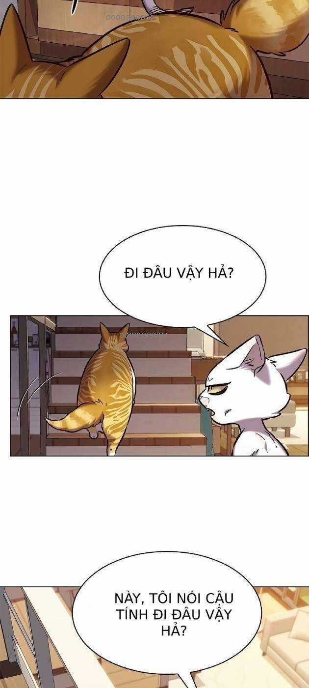 Biến Thân Thành Mèo Chapter 241 trang 58