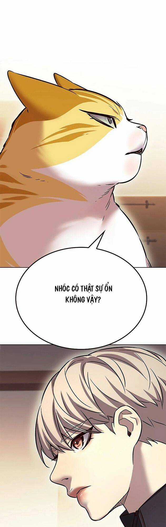 Biến Thân Thành Mèo Chapter 242 trang 43