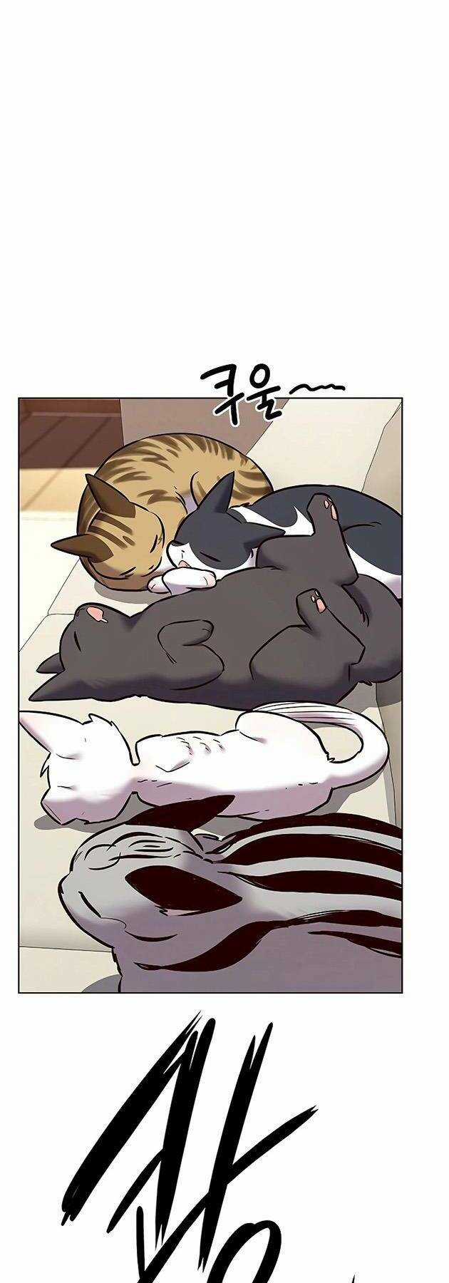 Biến Thân Thành Mèo Chapter 243 trang 57