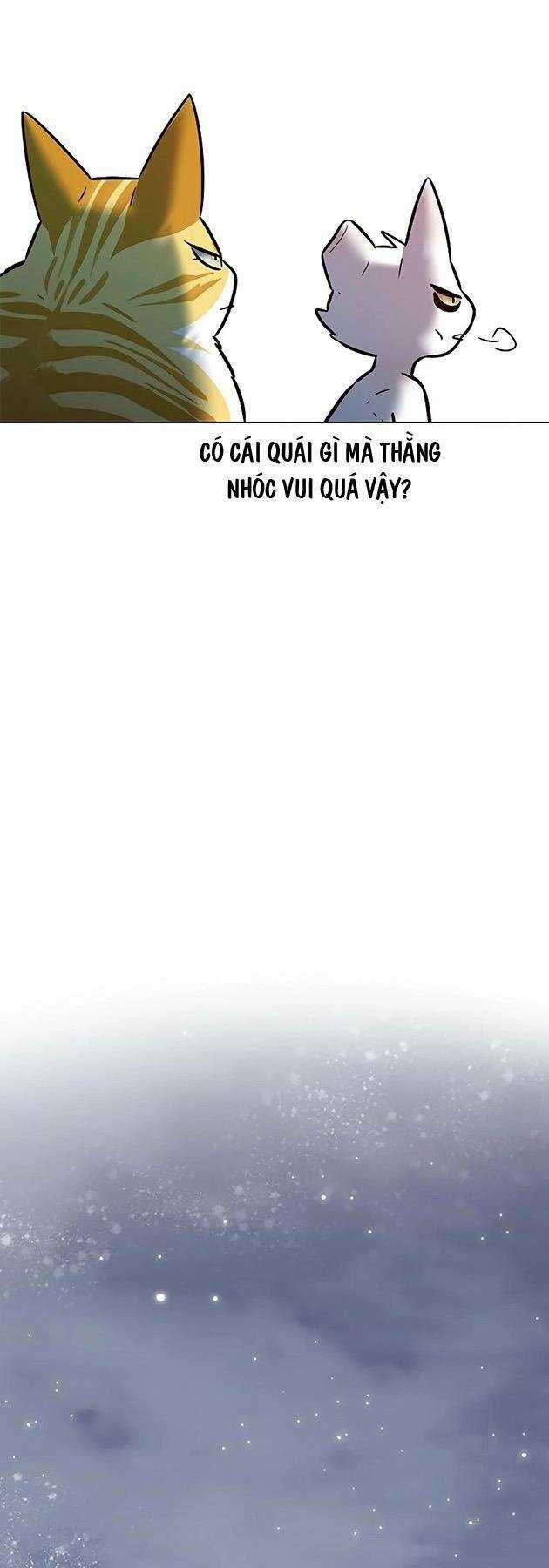 Biến Thân Thành Mèo Chapter 243 trang 61