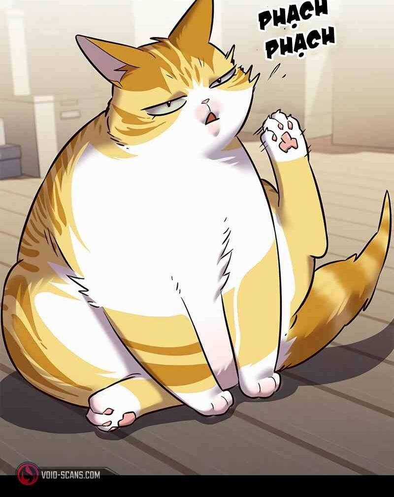 Biến Thân Thành Mèo Chapter 244 trang 13