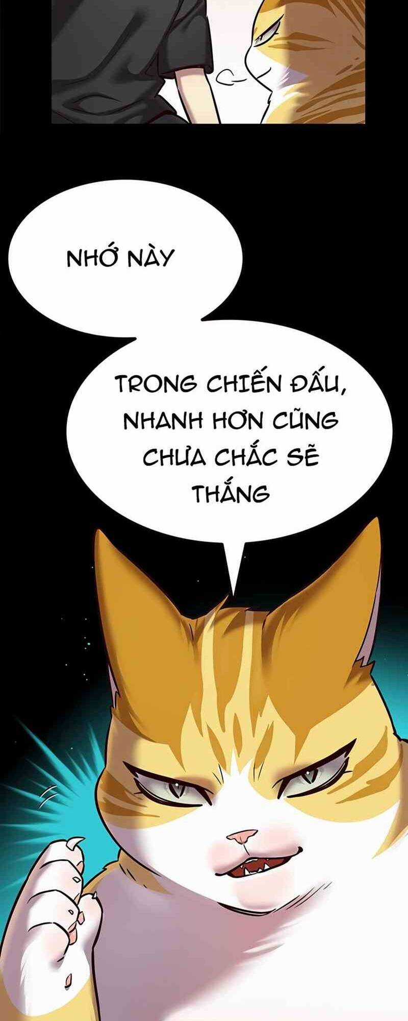 Biến Thân Thành Mèo Chapter 244 trang 18