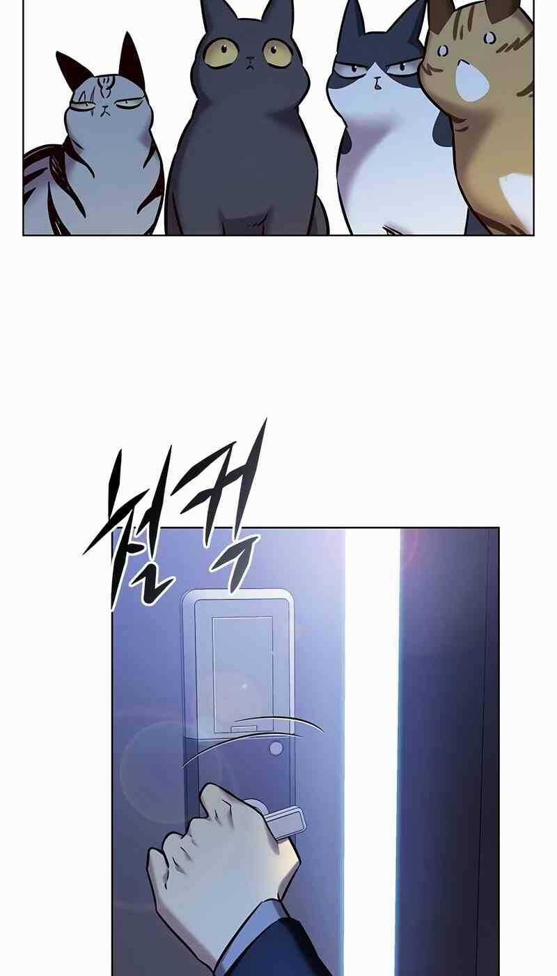 Biến Thân Thành Mèo Chapter 244 trang 42