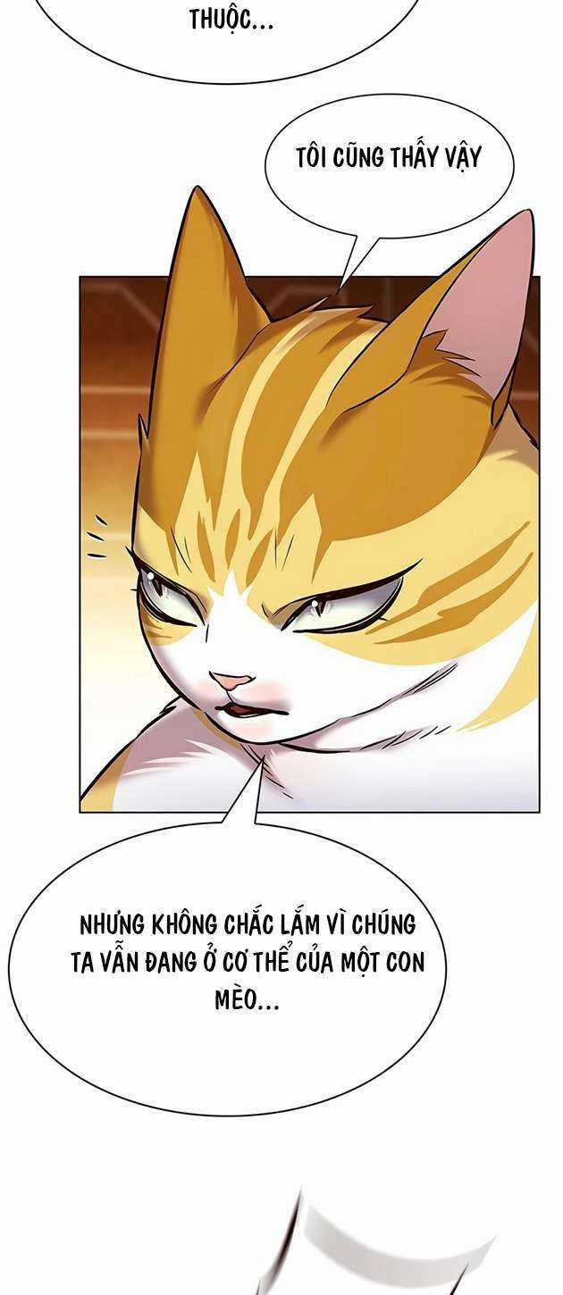 Biến Thân Thành Mèo Chapter 245 trang 45