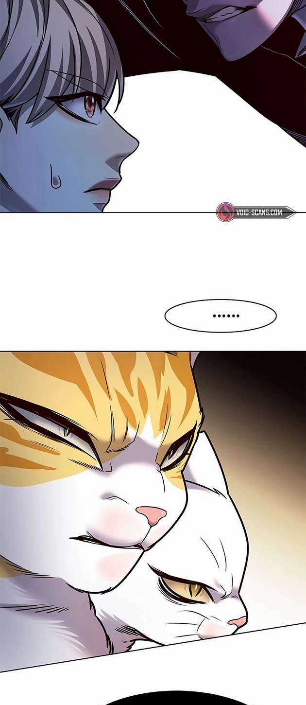 Biến Thân Thành Mèo Chapter 245 trang 53