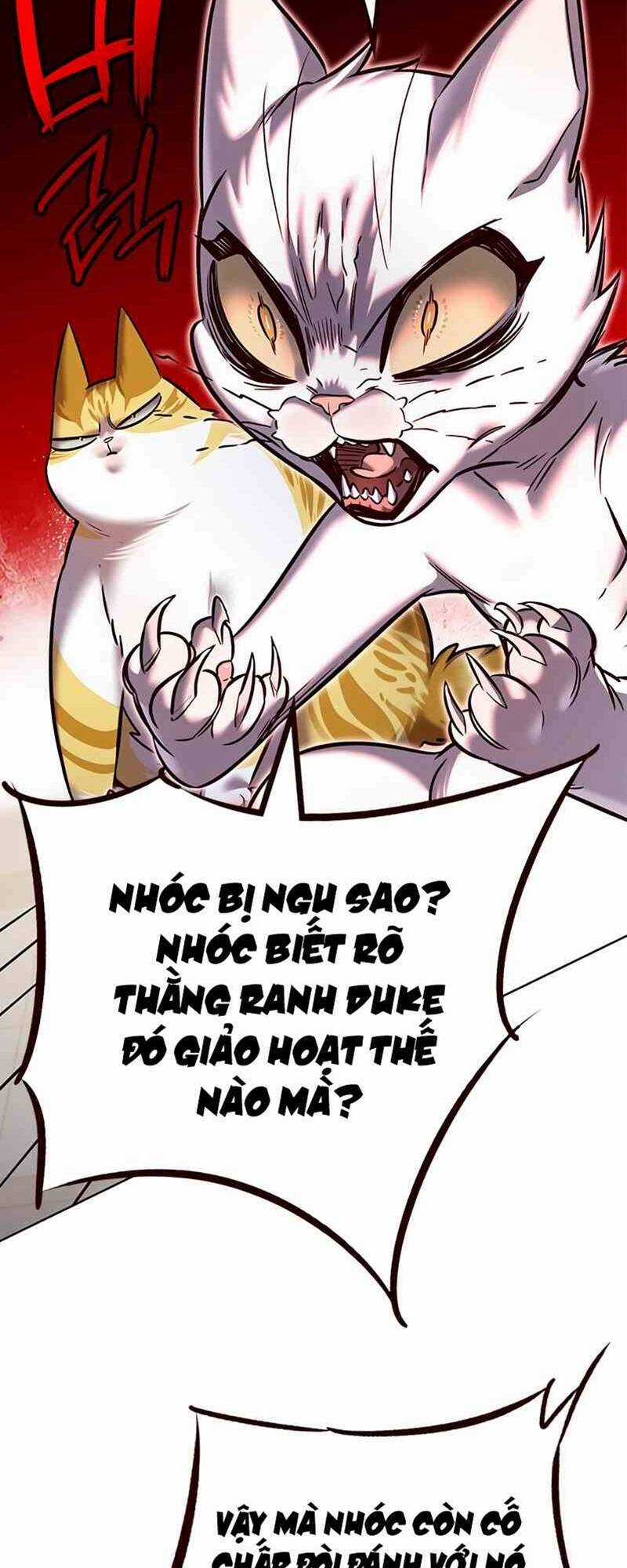 Biến Thân Thành Mèo Chapter 249 trang 61