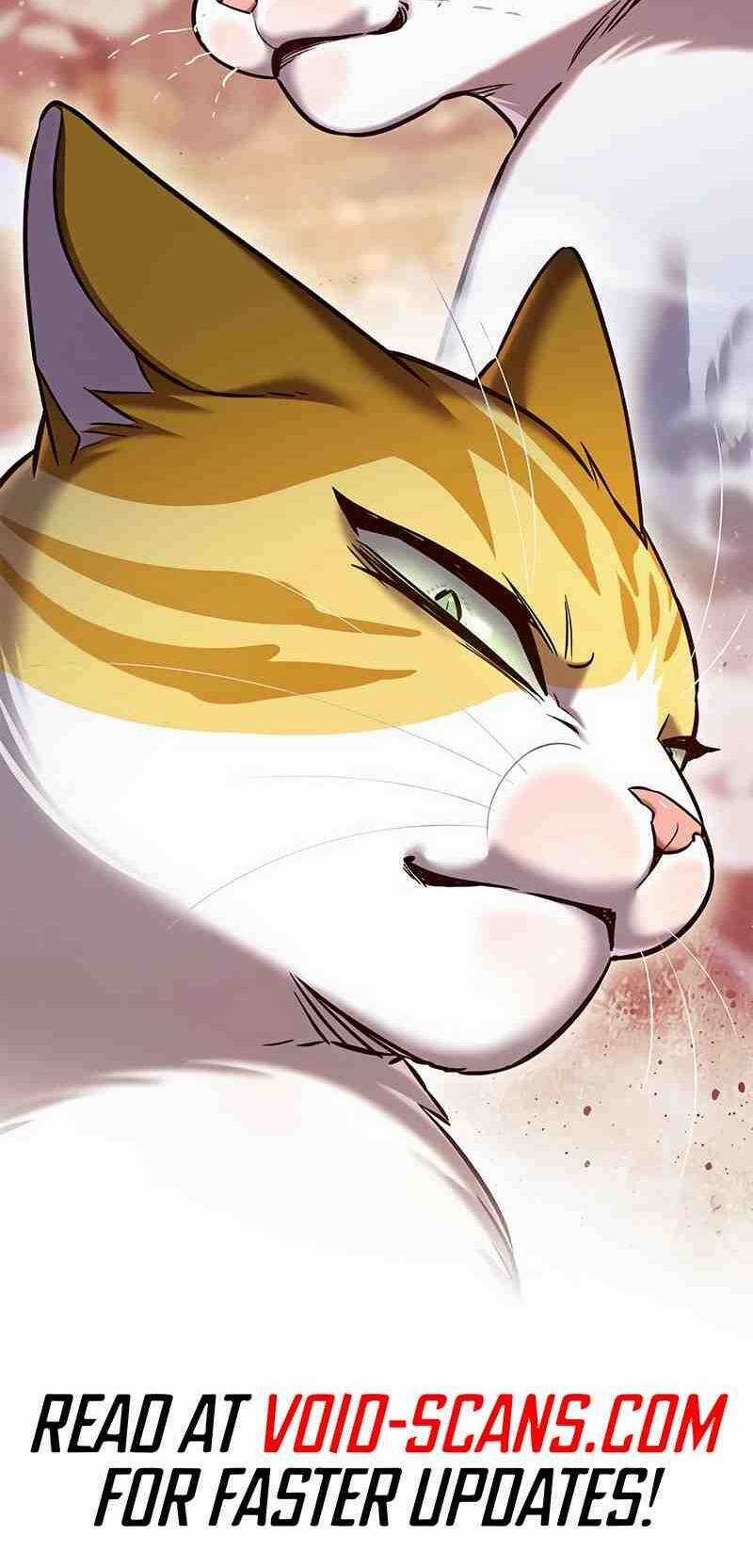 Biến Thân Thành Mèo Chapter 252 trang 68