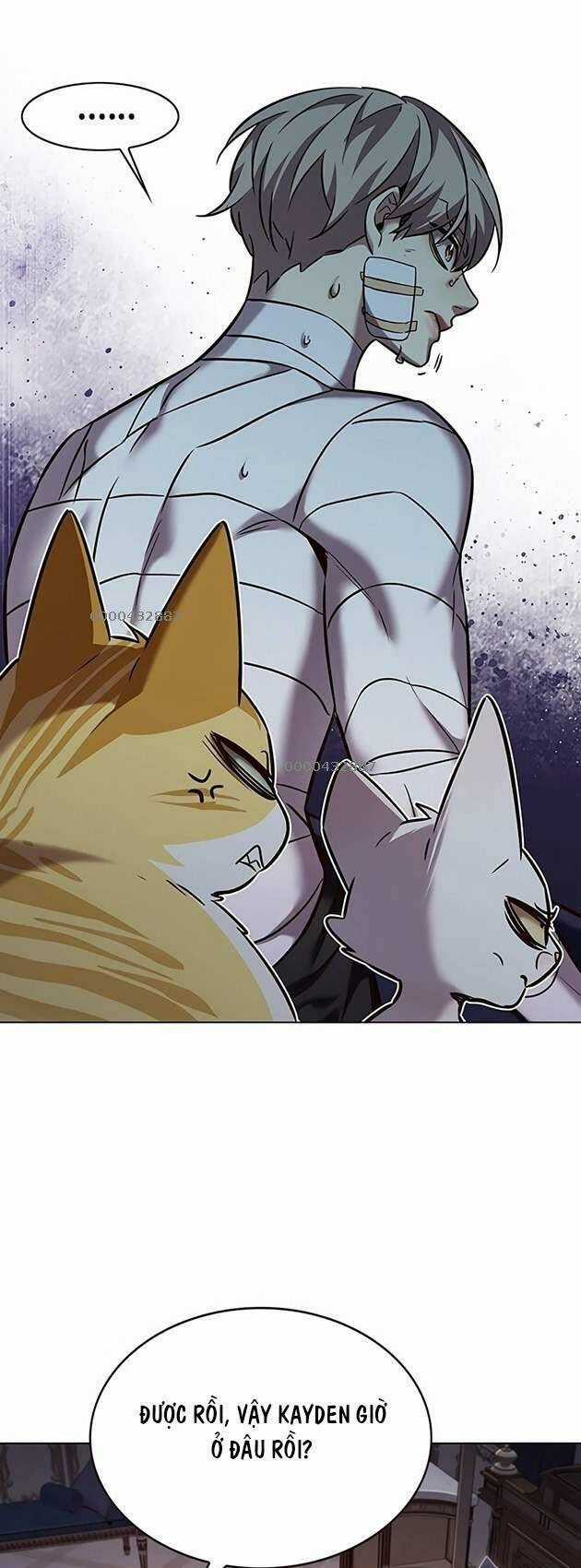 Biến Thân Thành Mèo Chapter 254 trang 29