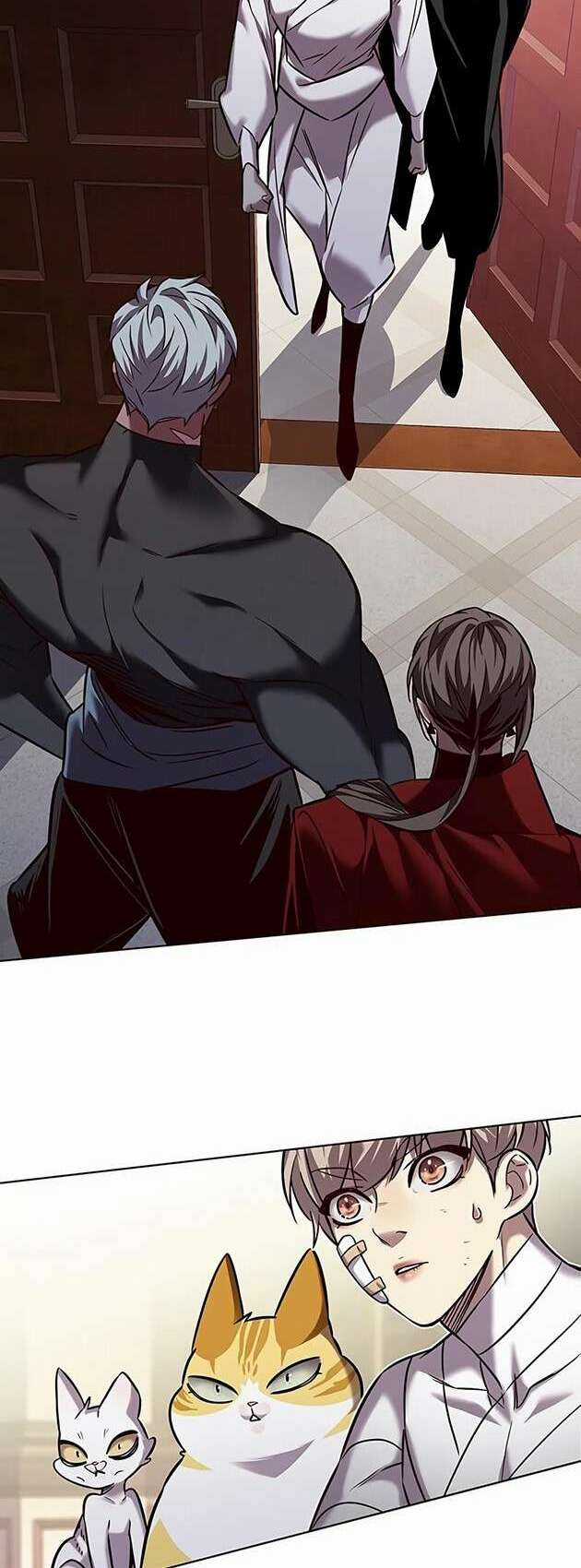 Biến Thân Thành Mèo Chapter 254 trang 34