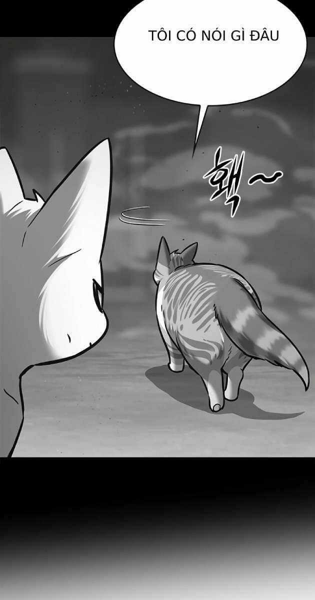 Biến Thân Thành Mèo Chapter 261 trang 11