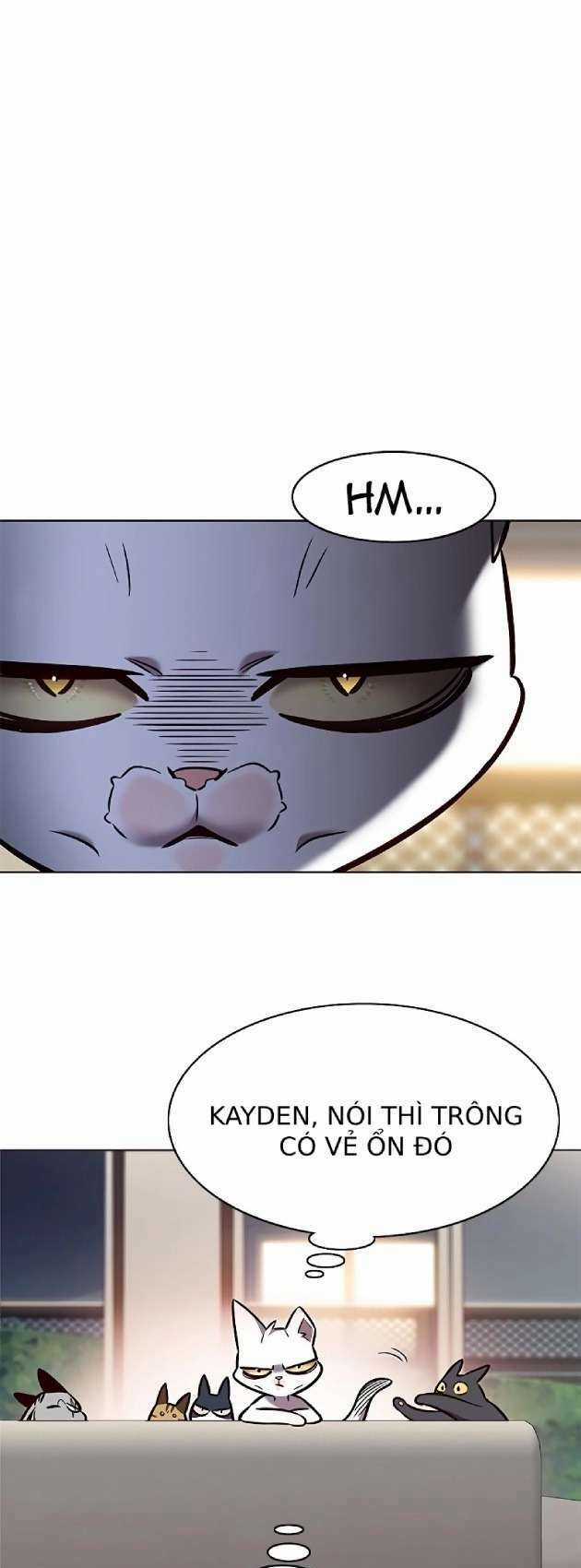 Biến Thân Thành Mèo Chapter 262 trang 49