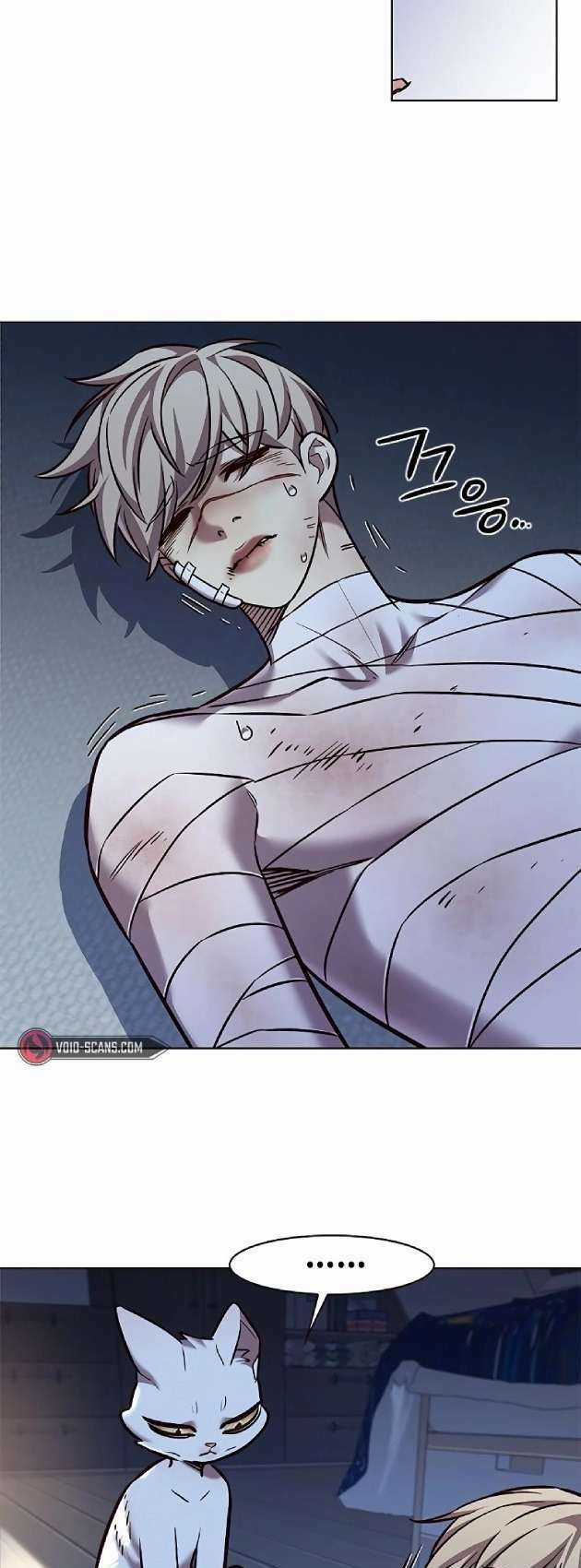 Biến Thân Thành Mèo Chapter 262 trang 53