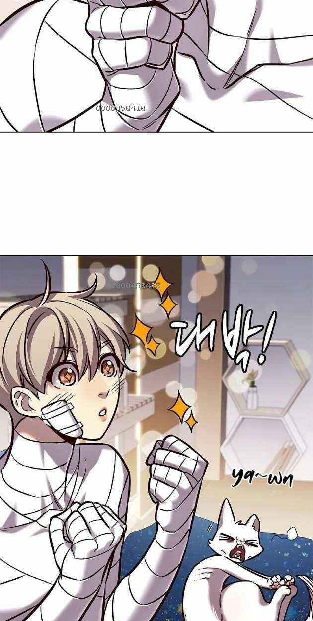 Biến Thân Thành Mèo Chapter 263 trang 4