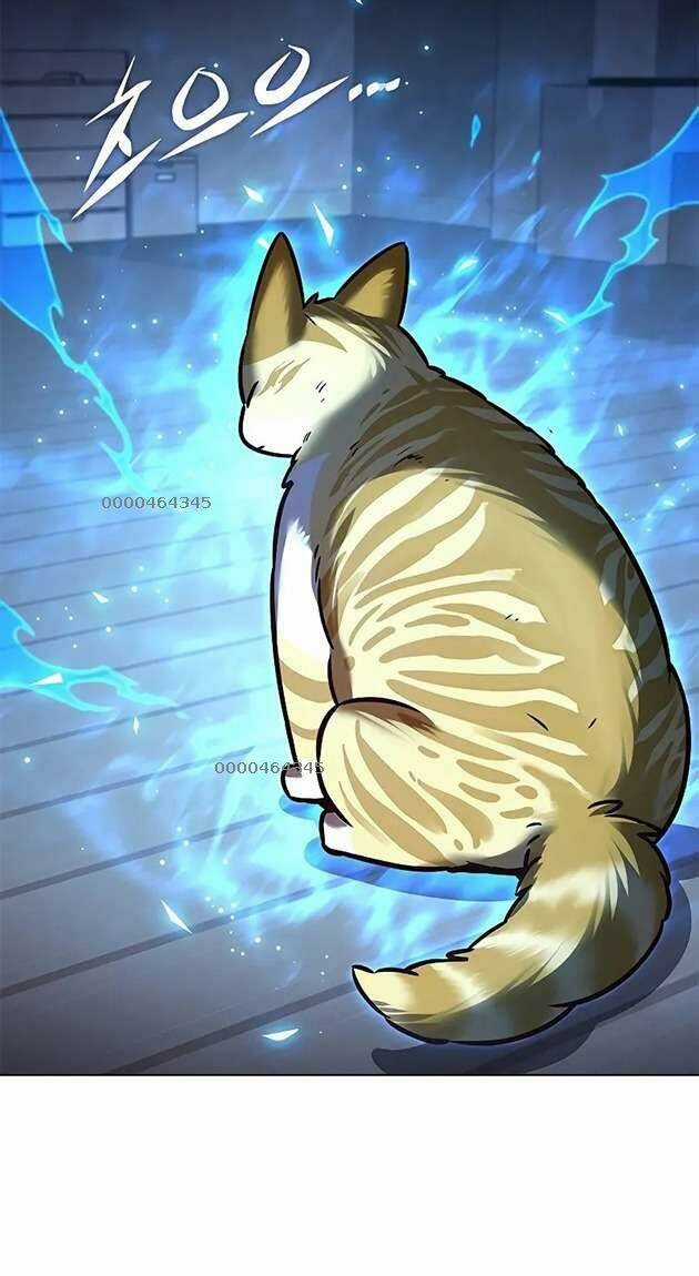 Biến Thân Thành Mèo Chapter 267 trang 2