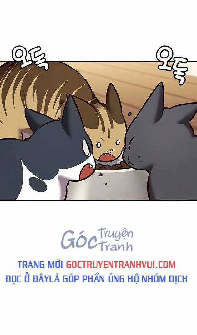 Biến Thân Thành Mèo Chapter 269 trang 40