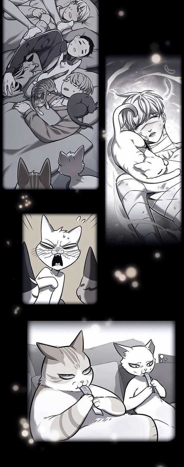 Biến Thân Thành Mèo Chapter 270 trang 65