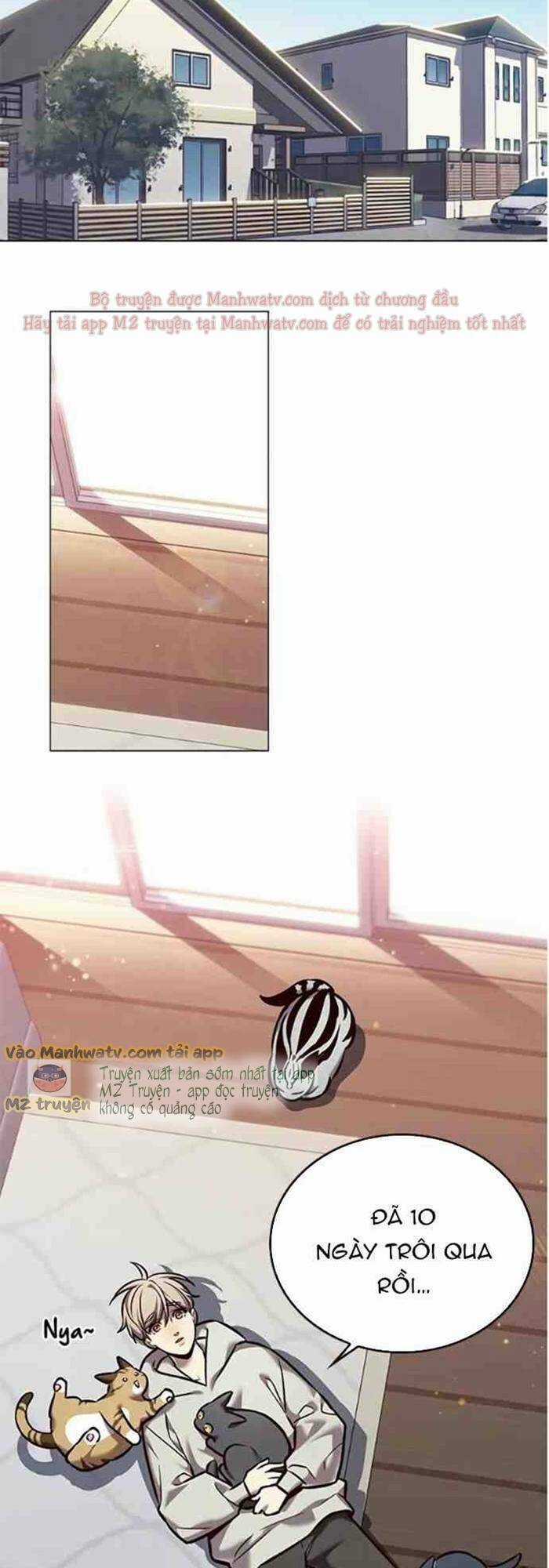 Biến Thân Thành Mèo Chapter 271 trang 19