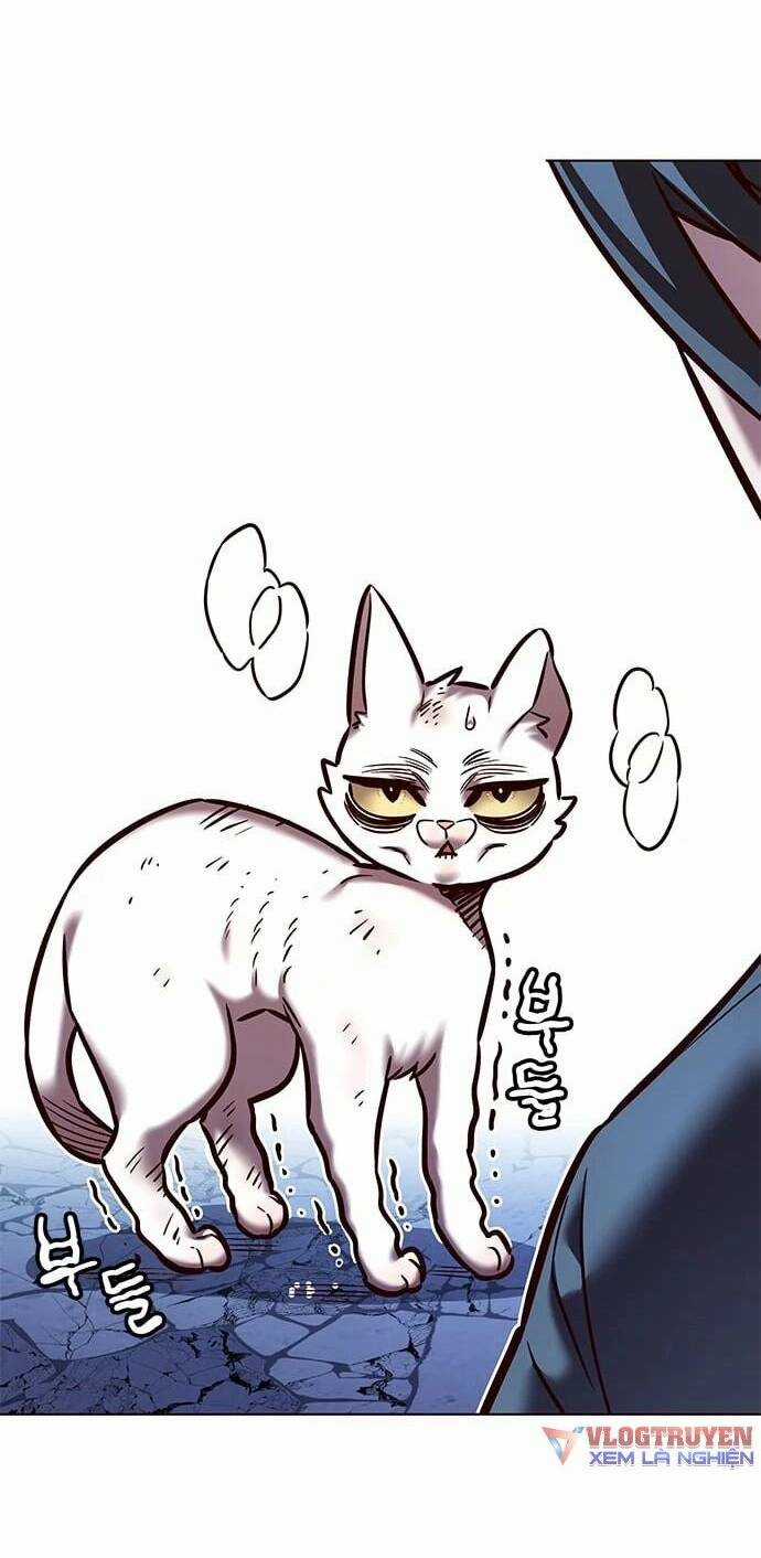 Biến Thân Thành Mèo Chapter 275 trang 21