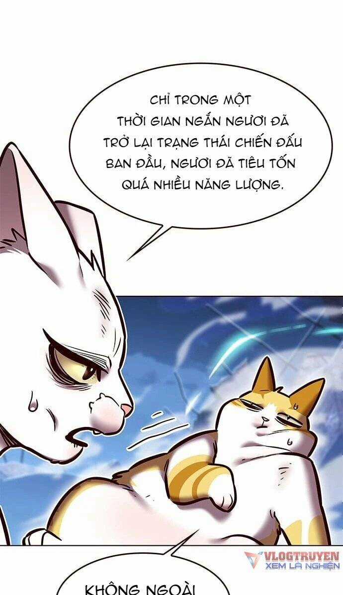 Biến Thân Thành Mèo Chapter 275 trang 24