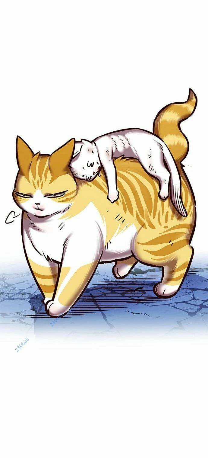 Biến Thân Thành Mèo Chapter 275 trang 39