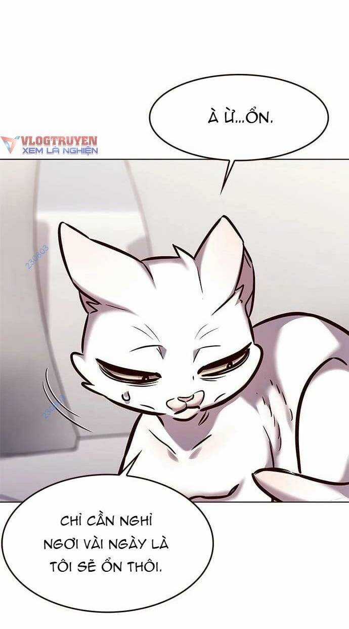 Biến Thân Thành Mèo Chapter 275 trang 49