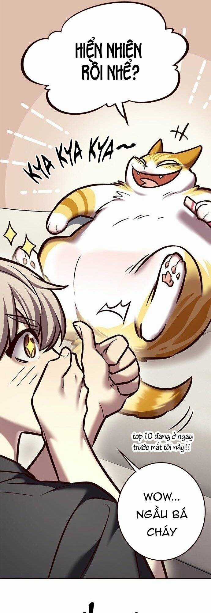 Biến Thân Thành Mèo Chapter 275 trang 57