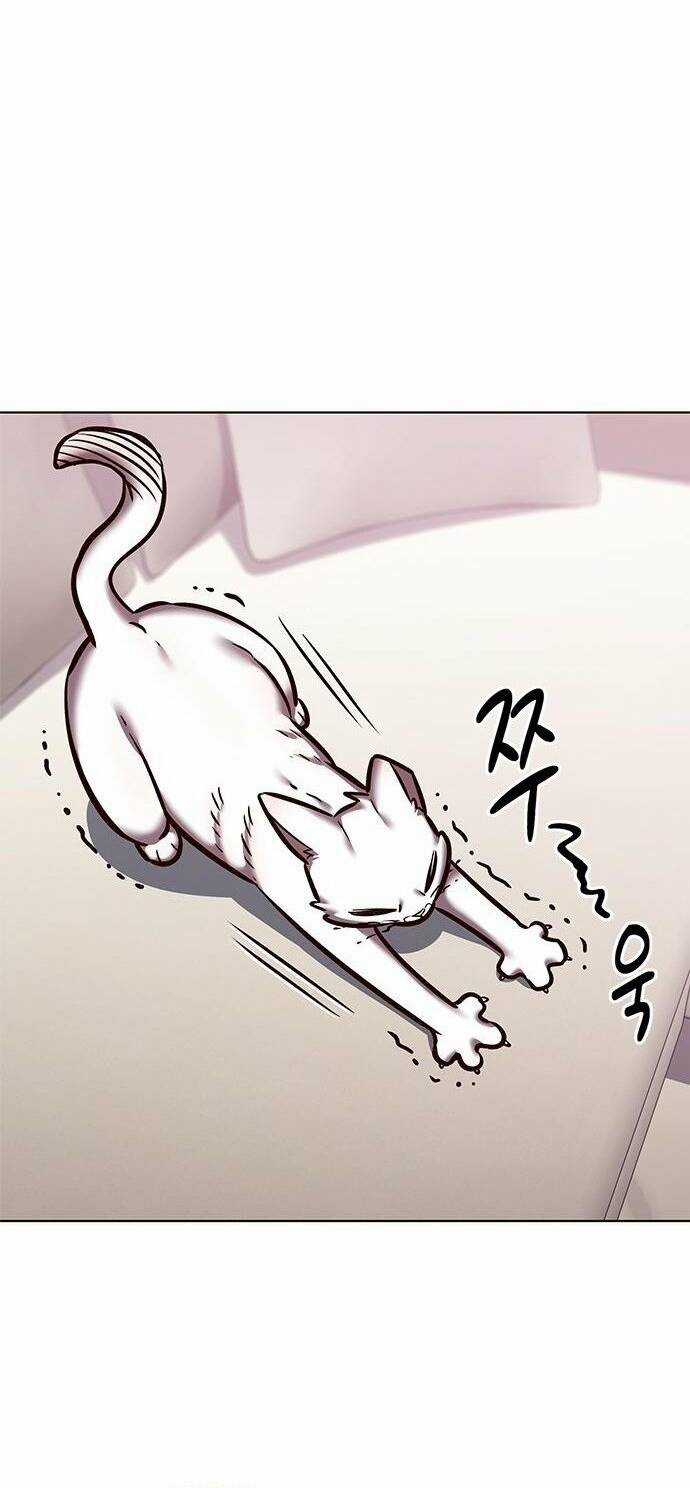 Biến Thân Thành Mèo Chapter 275 trang 61