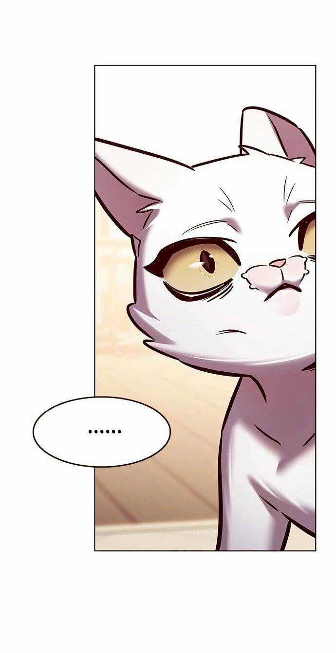 Biến Thân Thành Mèo Chapter 275 trang 64