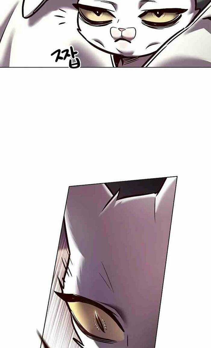 Biến Thân Thành Mèo Chapter 277 trang 11