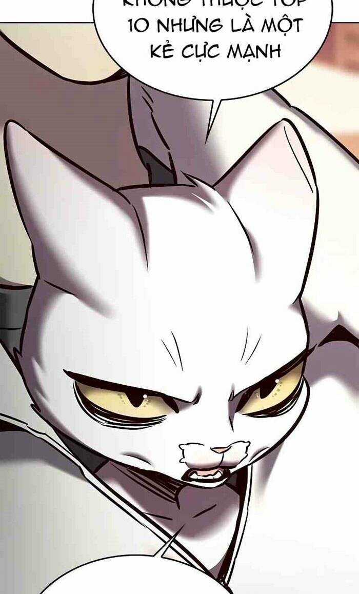 Biến Thân Thành Mèo Chapter 277 trang 18