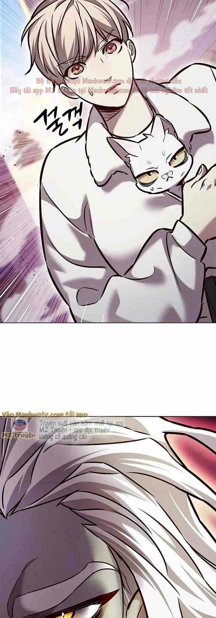 Biến Thân Thành Mèo Chapter 277 trang 48