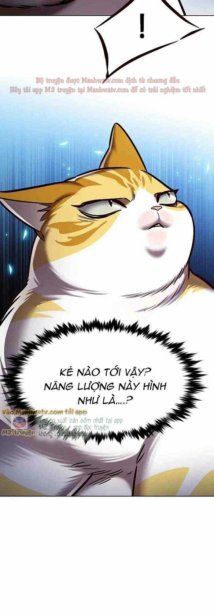 Biến Thân Thành Mèo Chapter 277 trang 60