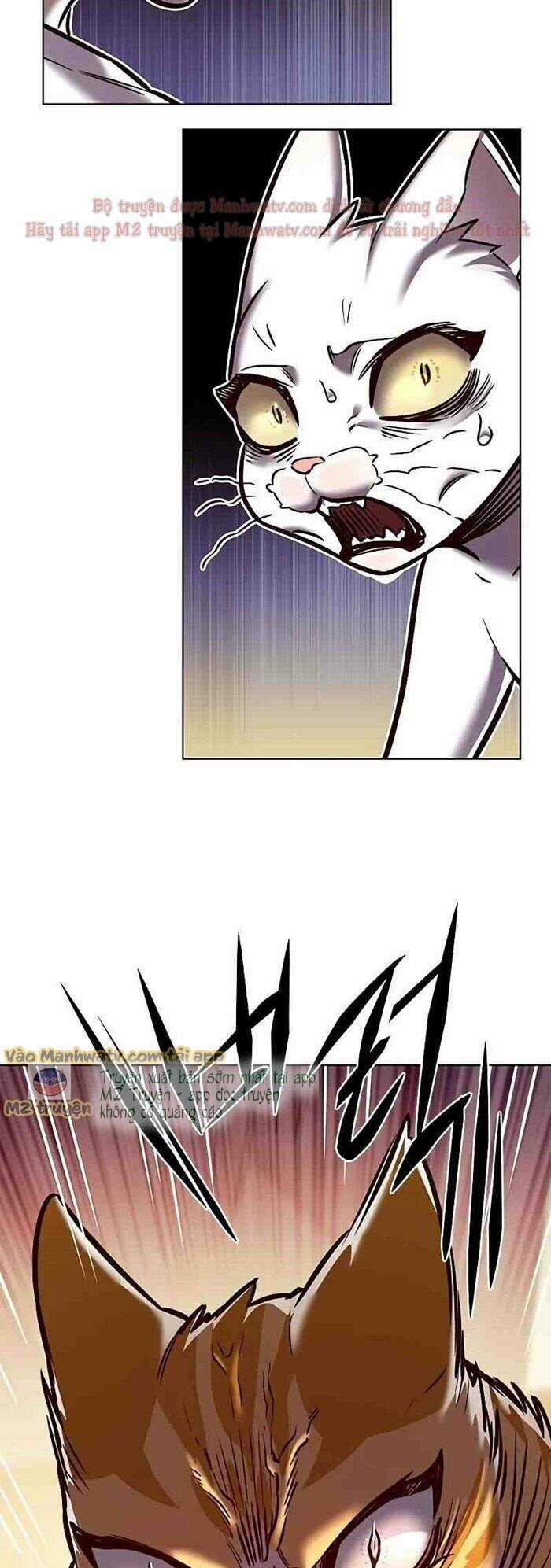 Biến Thân Thành Mèo Chapter 277 trang 82